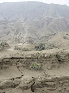 Landscape around Mount Bromo in Java Scenery around Bromo Tengger Semeru N... Stock-Fotos