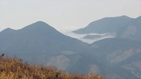 Landscape atlantic forest  Stock Footage 58028663