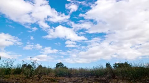 Landscape in the Australian outback Stockbeeldmateriaal 20541223