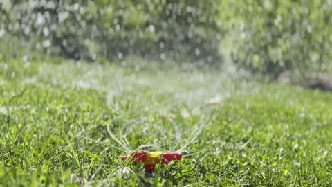 Landscape automatic garden watering system with rotating sprinklers on the lawn. Stock Footage 195892727