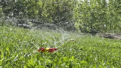 Landscape automatic garden watering system with rotating sprinklers installed. Stock Footage 197853538