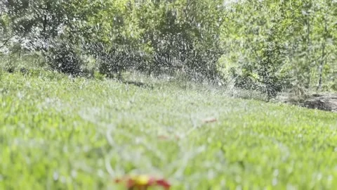 Landscape automatic garden watering system with rotating sprinklers Stock-Footage 203912619