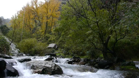 Landscape in autumn Stock Footage 35909129