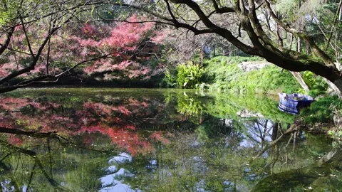 Landscape of autumn park with reflection in pond water. 스톡 동영상 332051207
