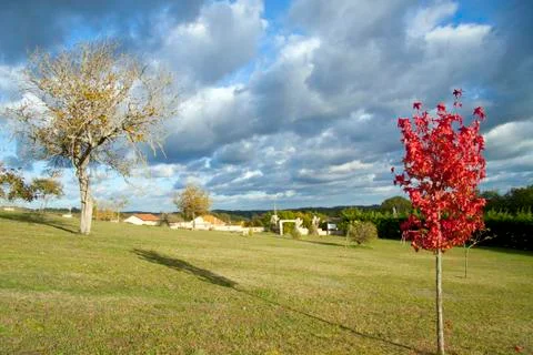Landscape in autumn Stock Photos