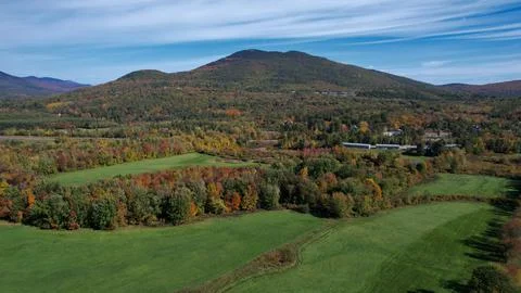 Landscape of autumn trees Stock Photos