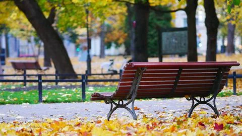 Landscape of autumn trees Stock Photos