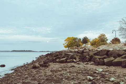 Landscape of autumn trees Stock Photos