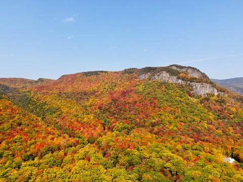 Landscape of autumn trees Stock Photos