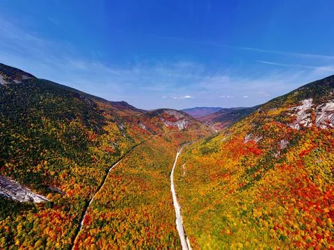 Landscape of autumn trees Stock Photos
