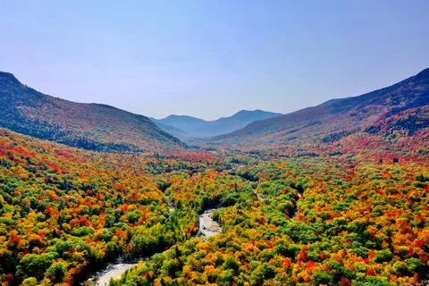 Landscape of autumn trees Stock Photos