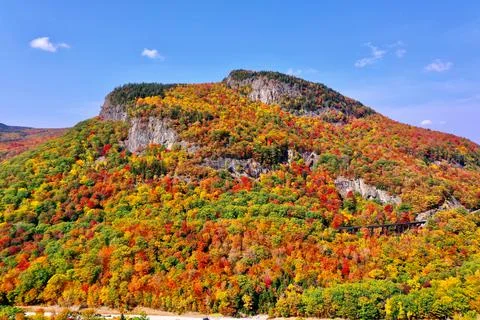 Landscape of autumn trees Stock Photos