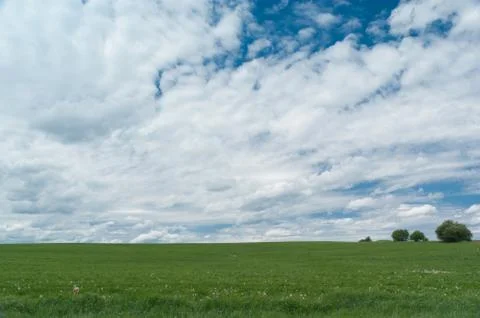 Landscape background Stock Photos