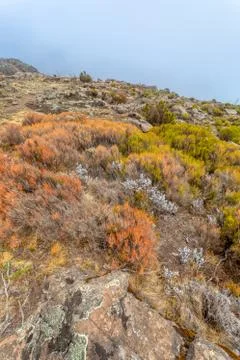 Landscape of Bale Mountain Stock Photos
