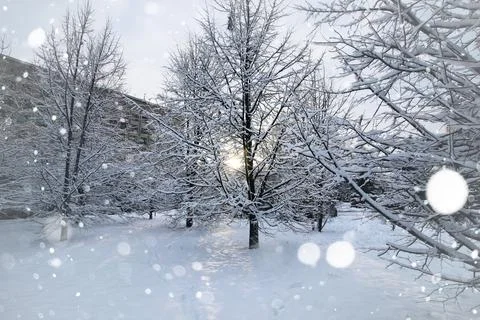 Landscape bare branches in winter Stock-Fotos