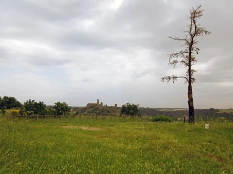 Landscape with bare tree and medieval churches of Tuscania Фото