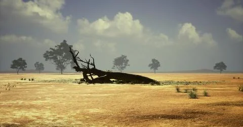Landscape of a barren field with a fallen tree under a blue sky with clouds Illustrazione stock