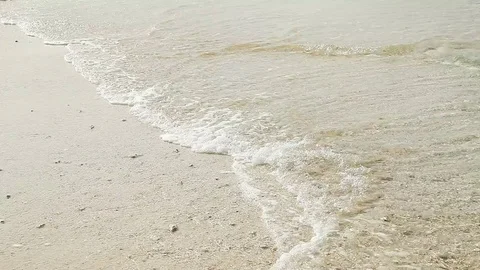Landscape of the beach at Okinawa prefecture Stock Footage 81313893