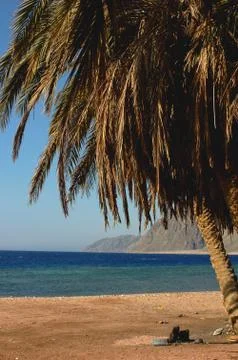 Landscape on beach Stock-Fotos
