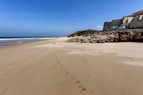 Landscape with beach Stock Photos
