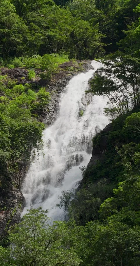 Landscape of beautiful big waterfall in forest travel location on Thailand. Stock Footage 281059635