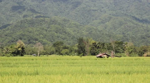 Landscape of a beautiful Stock Footage 45403164