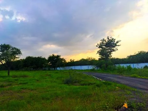 A landscape of a beautiful forest with the sun setting in the background. Stock Photos