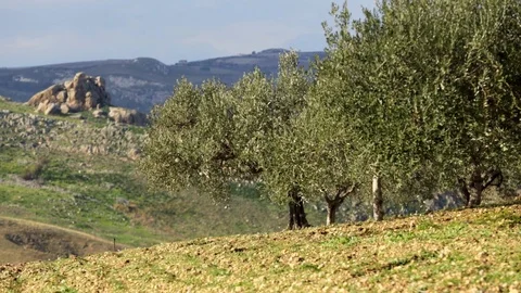 Landscape in beautiful light Stock Footage 108634561