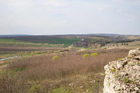 Landscape with beautiful view of forest. Stock Photos