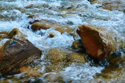 Landscape, beautiful view of mountain river in summer day, fast flowing water Stock Photos