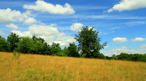 Landscape of Belgian countryside Stock Footage 52507206
