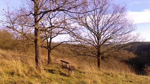 Landscape with bench. Stock Footage 33546289