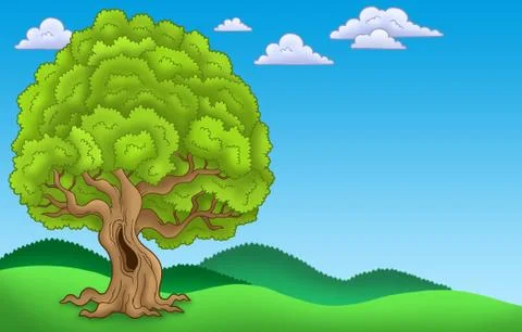 Landscape with big leafy tree Stock Illustration
