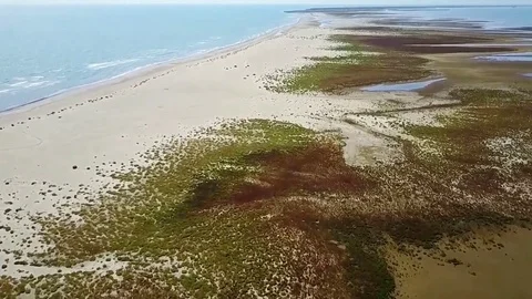 Landscape on the Black Sea shore , Romania Stock Footage