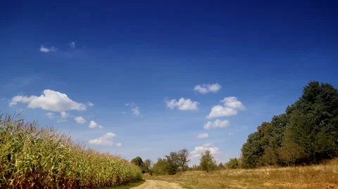 Landscape blue sky with clouds running over the field. Stock Footage 41396214