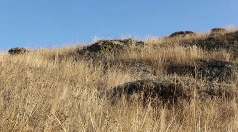 Landscape, blue sky, nature Stock Footage 8656158