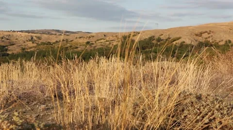 Landscape, blue sky, nature Stock Footage 8656198