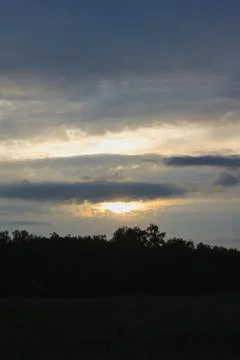 Landscape with a blue sunset on a background of trees Stock-Fotos