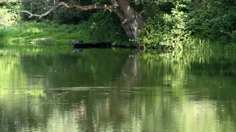 Landscape with a boat. Видео 8655282