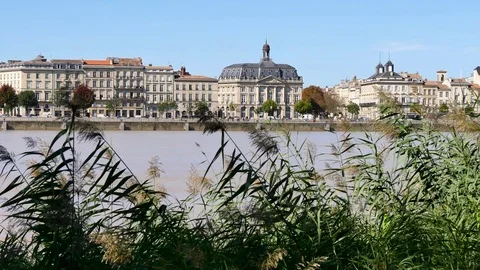 Landscape in Bordeaux. Stock Footage 96972901