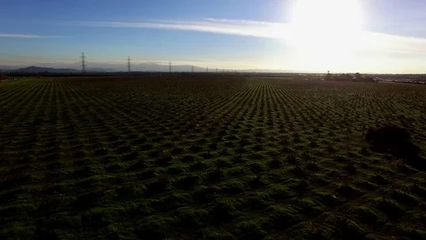 The landscape of borderless fields from the bird's-eye Stock Footage 76600898