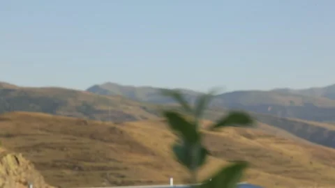 Landscape, branc in the foreground 2 Stock Footage 317341395