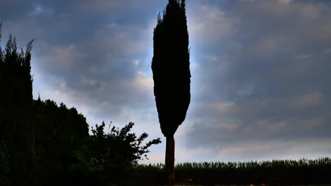 Landscape in Brembo park Stock Footage 129867930