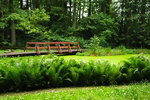 A landscape with a bridge passing through the pond, surrounded by lush gree.. Stock Photos