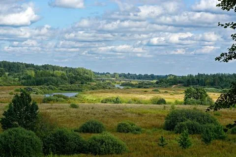 Landscape with a bridge. Stock Photos
