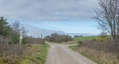 Landscape with bridle path Stock Photos