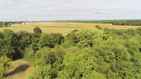 Landscape in Burgundy Vidéo 348519256