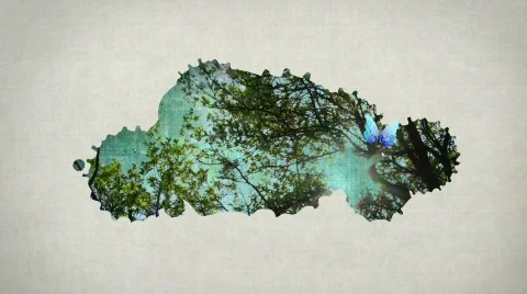 Landscape with butterfly  Stock Footage 677580