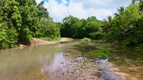 Landscape of a calm river with a rocky shallow bottom on a sunny summer day. Stockbeeldmateriaal 343568978