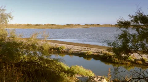 Landscape of camargue 스톡 동영상 33421677